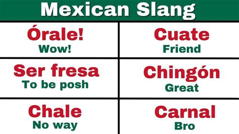 vale verga slang|20 Mexican Slang Words and Phrases 